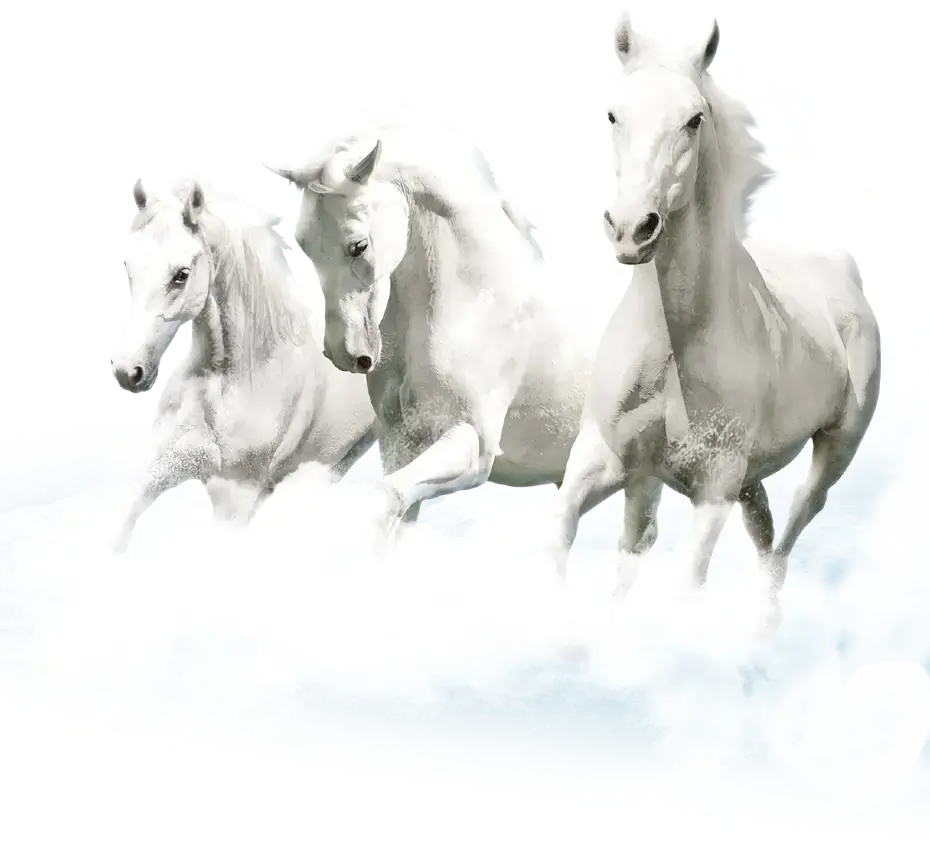 Flamants roses volant qui symbolise la camargue, aigues-mortes et les vacances